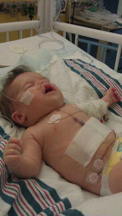 wp-1380824127992.jpg image